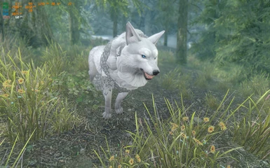 primal wolf