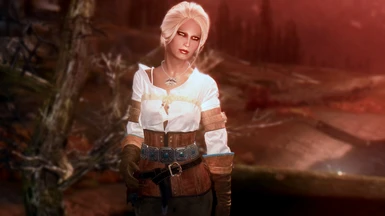 Ciri's Outfit WIP