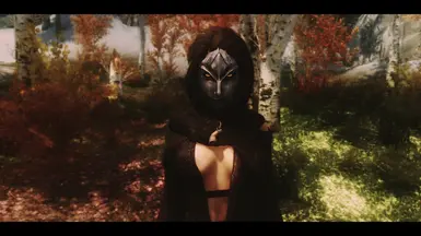 skyrim ninja mask mod