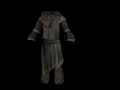 The Well Armored Mage - Novice at Skyrim Nexus - Mods and Community