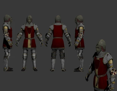 Imperial knightly Heraldic Armour 4