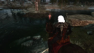 The Witcher 3 Drowner