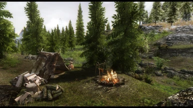 Camping - Riverwood