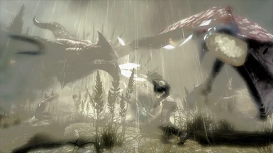Hard Rain Dragon Fight