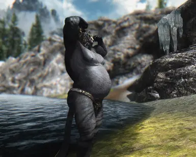 Obviously a fat khajiit flexing at Skyrim Nexus - Mods and Community