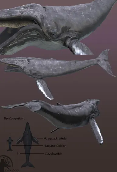 Humpback Whale at Skyrim Nexus - Mods and Community