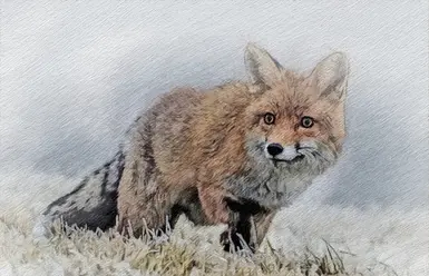 A fox in Skyrim