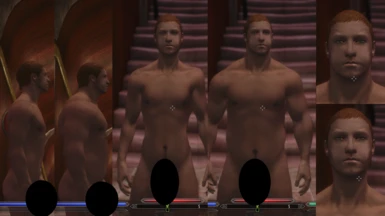 Better Males - More Variation - Body WIP Update 2