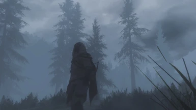 Ghost in the Fog