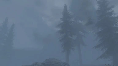 Forest in the Fog
