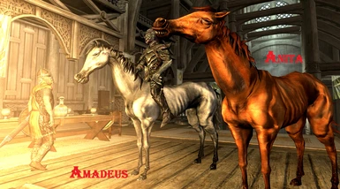 Old Horses in Skyrim