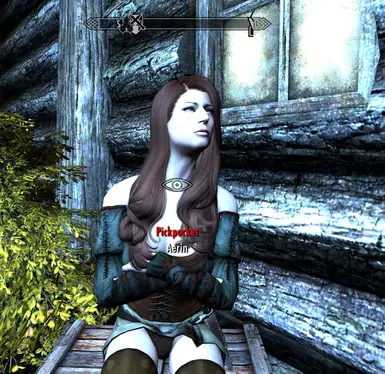 New Aerin at Skyrim Nexus Mods and Community