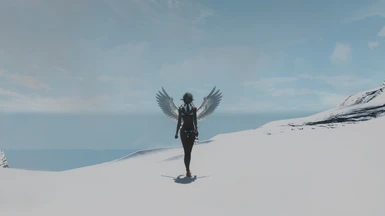 Angel of the Snow
