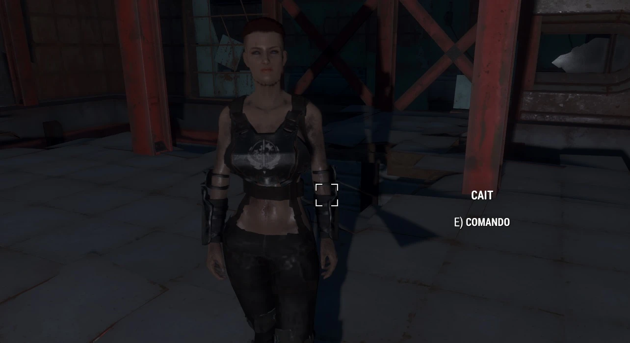 Cait At Fallout 4 Nexus Mods And Community