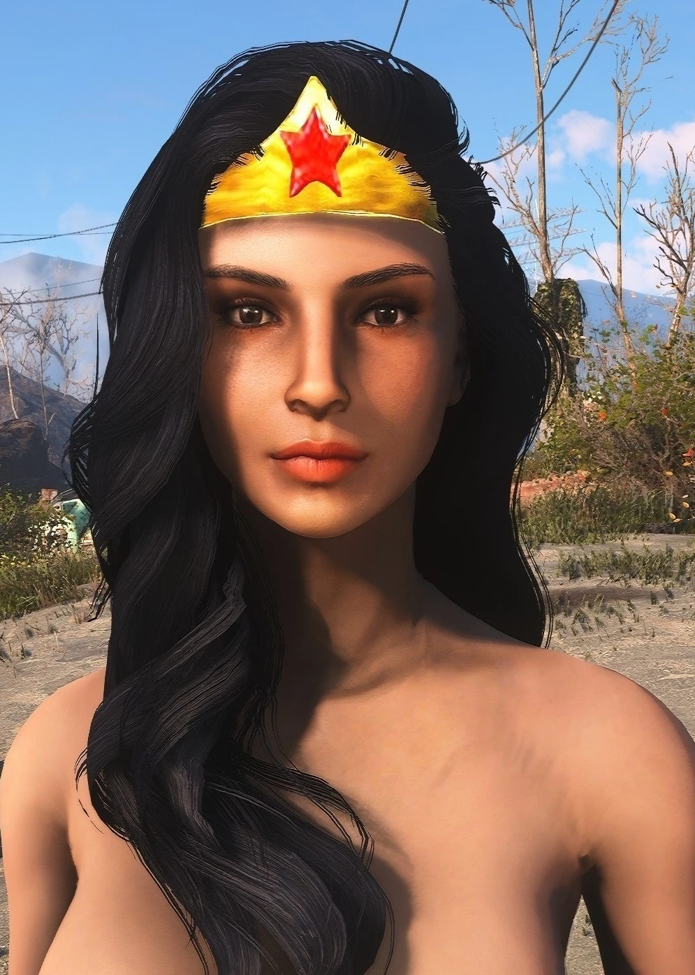 Wonder Woman at Fallout 4 Nexus - Mods and community