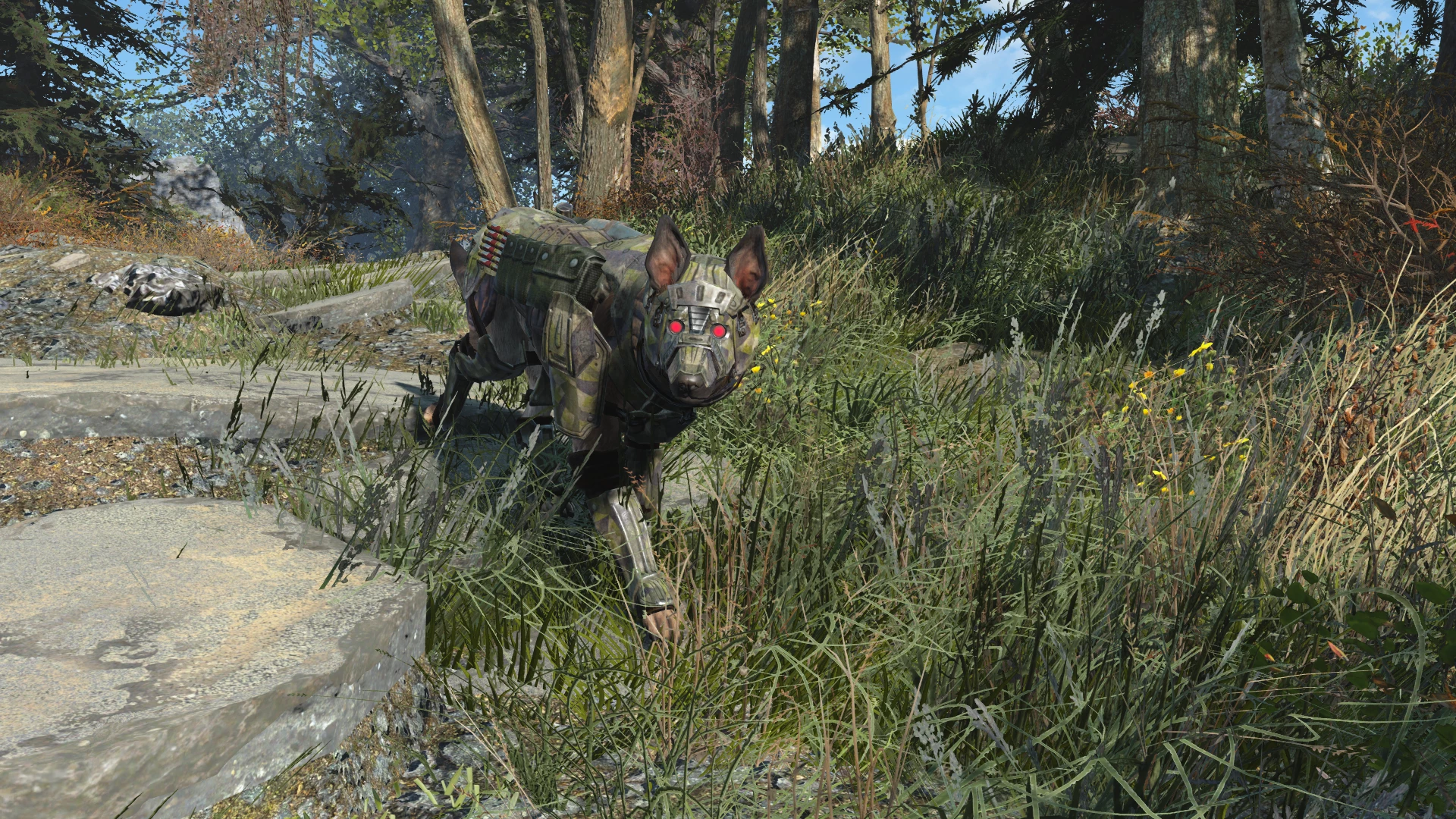 fallout 4 dogmeat clothing fallout 4 dogmeat clothing