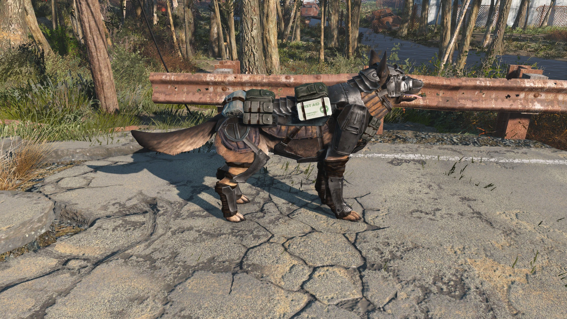 Fallout 4 Dog Armor Location : In fallout 4 you can equip your