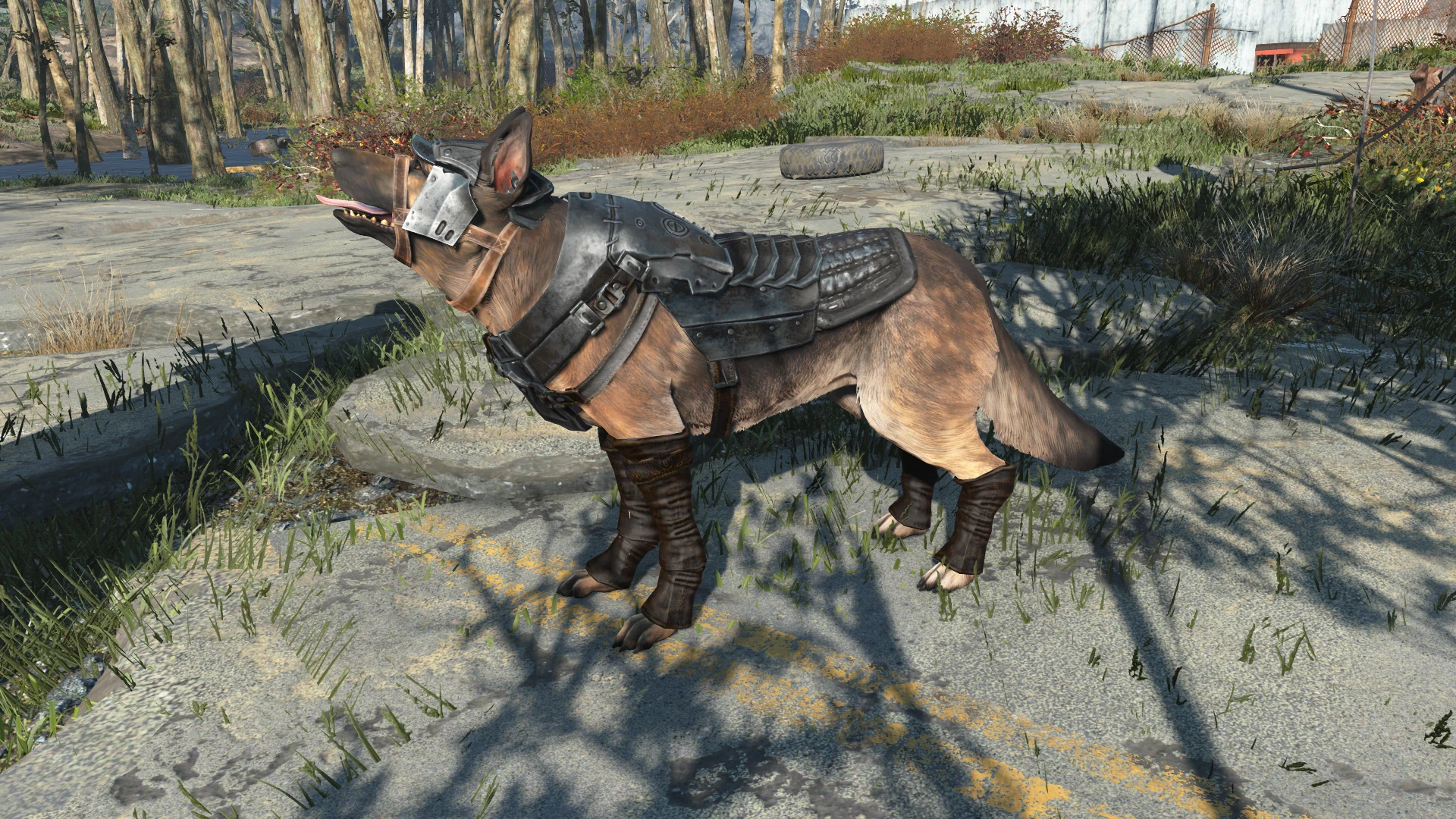 Fallout 4 как одеть ошейник на собаку фото 5