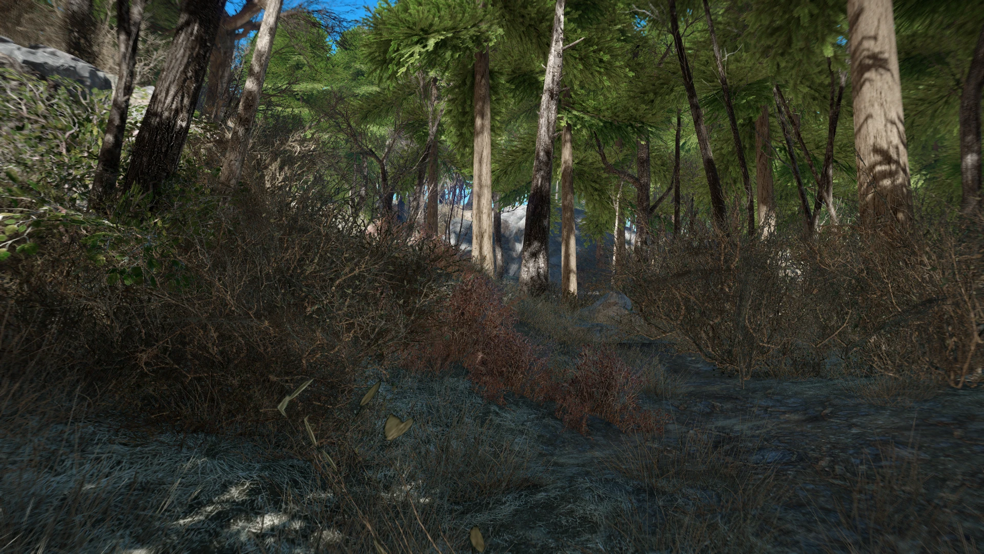 Work In Progress pine forest mod at Fallout 4 Nexus - Mods and community