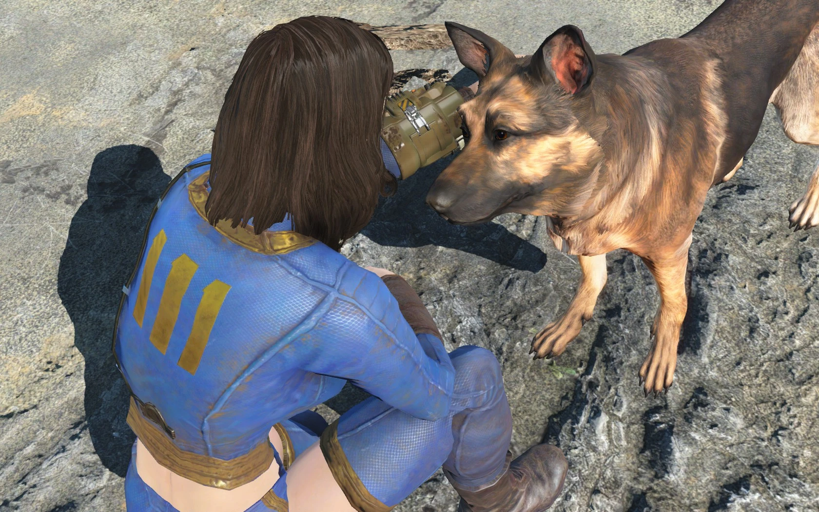 Fallout 4 спарки собака фото 13