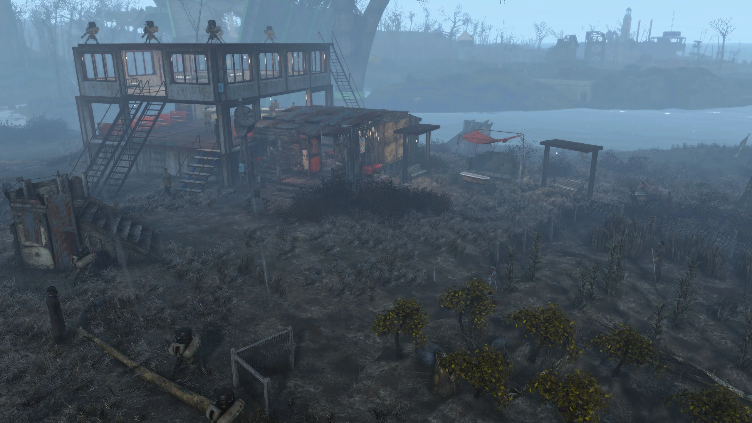 a bit misty at sparsely built out Finch Farm a bit misty at sparsely built out Finch Farm