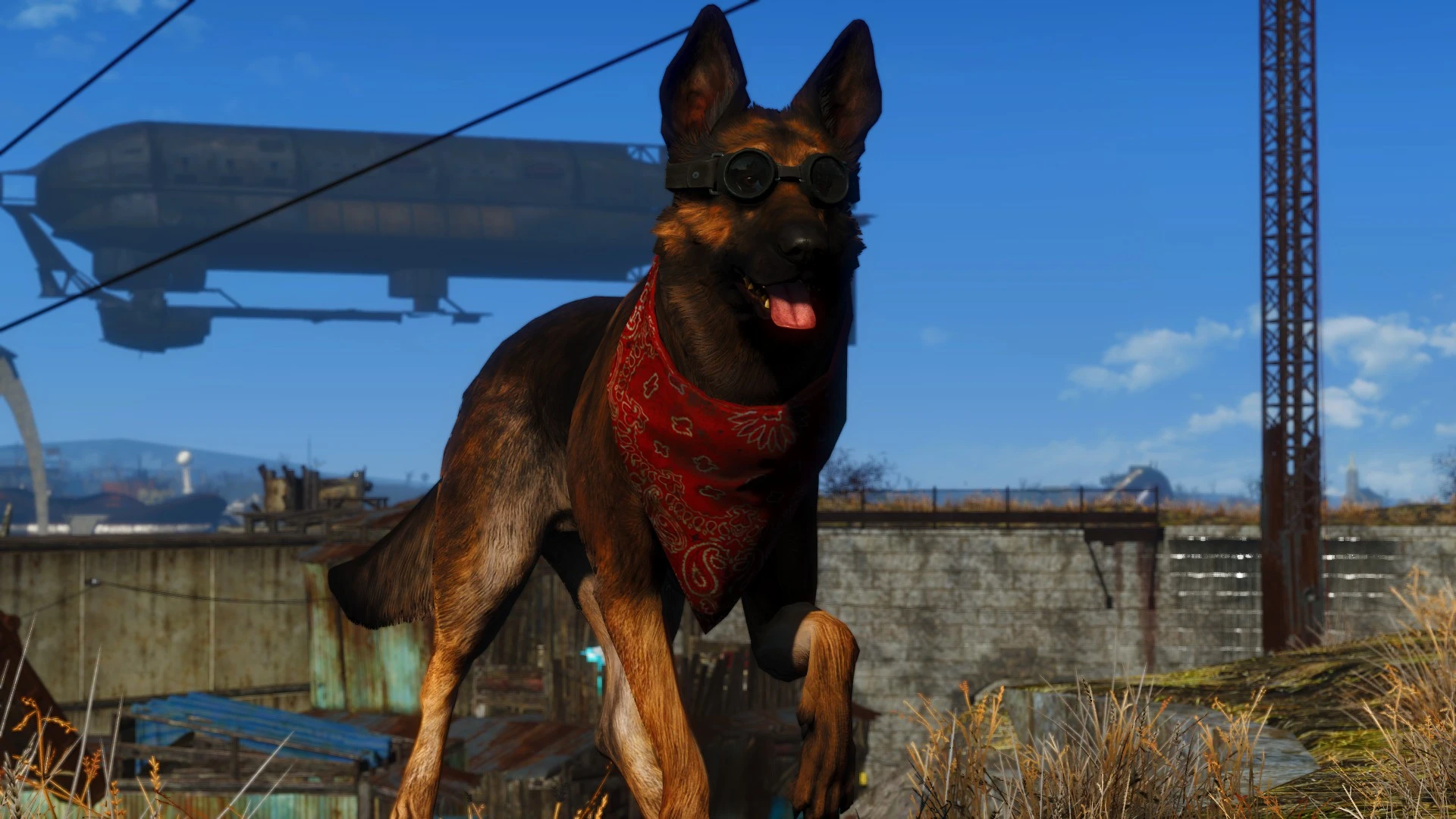 Fallout 4 отпустил собаку где она фото 73
