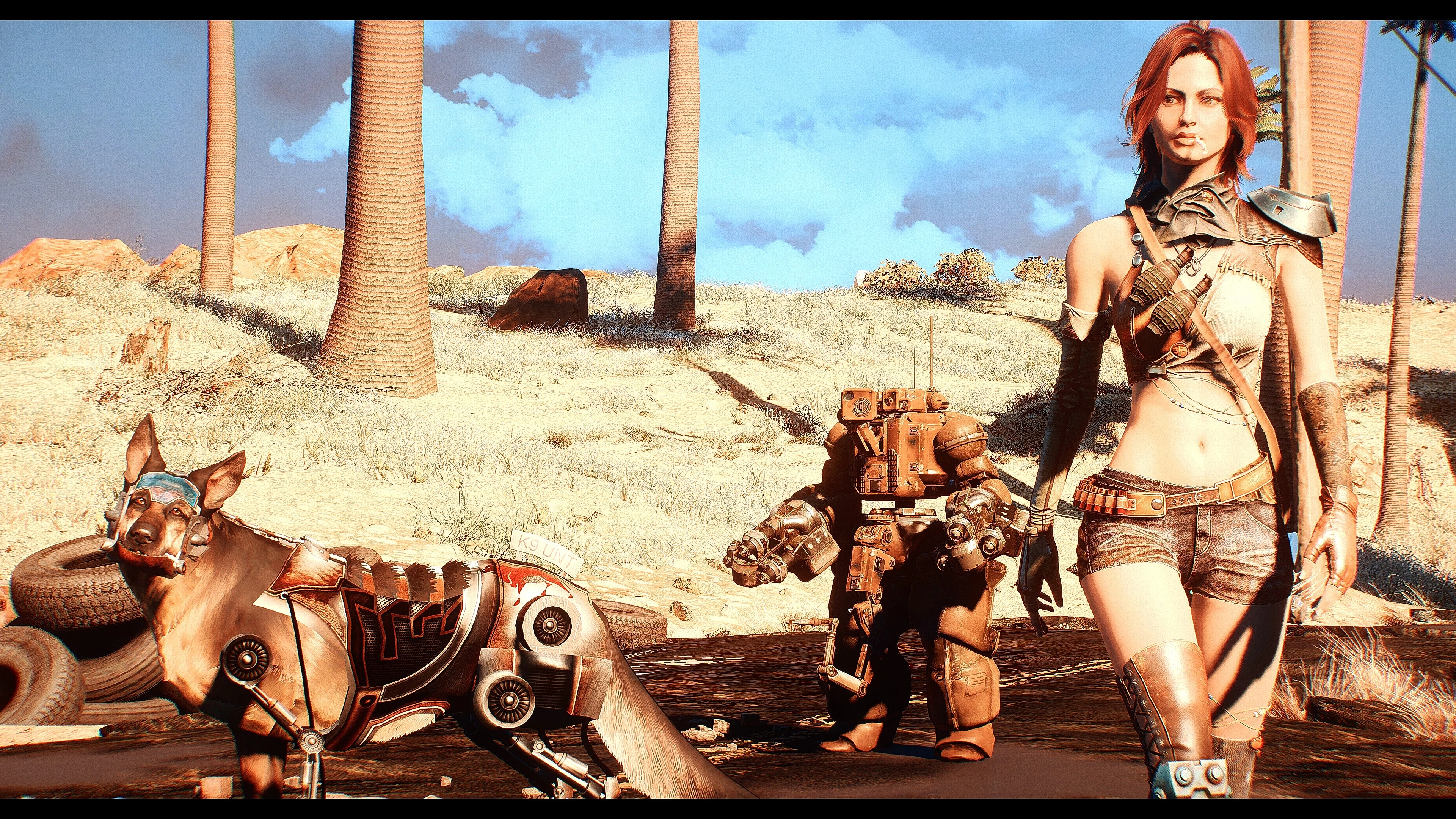 Cait At Fallout 4 Nexus Mods And Community   14772104 1535786405 