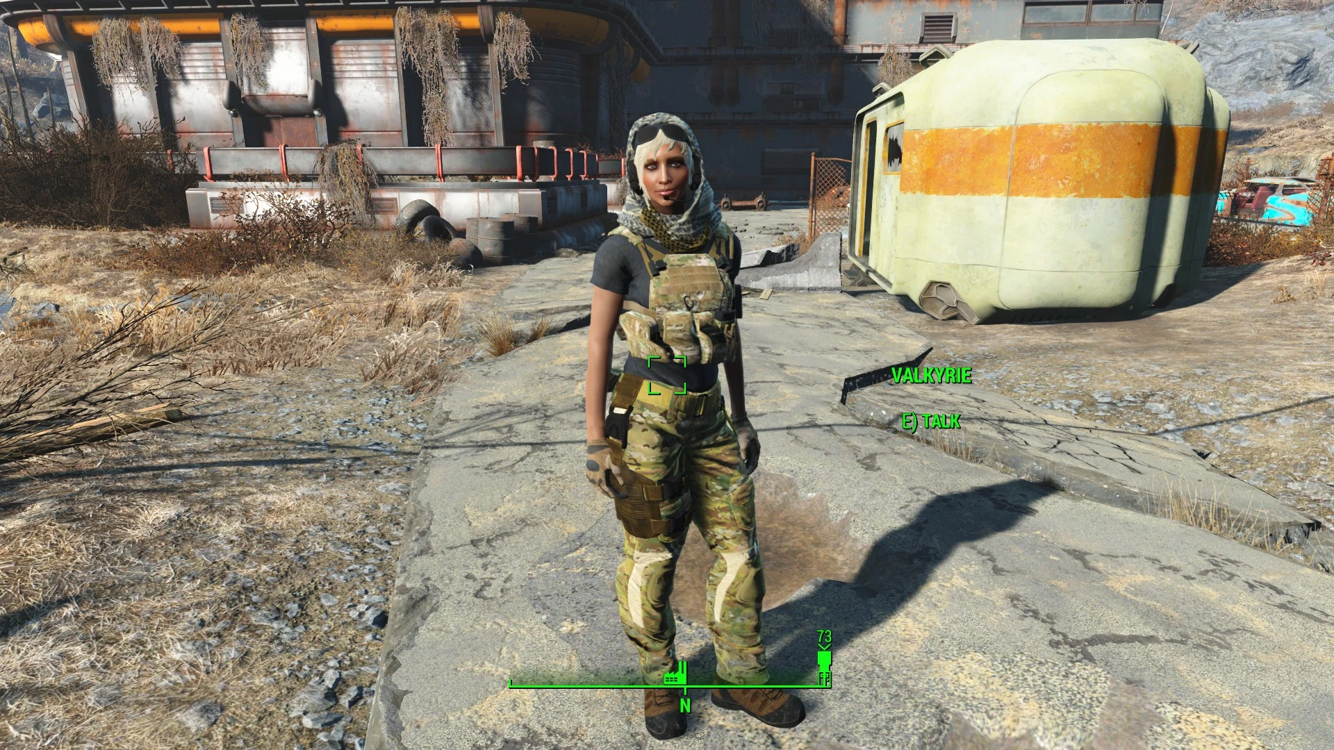 Valkyrie At Fallout 4 Nexus - Mods And Community