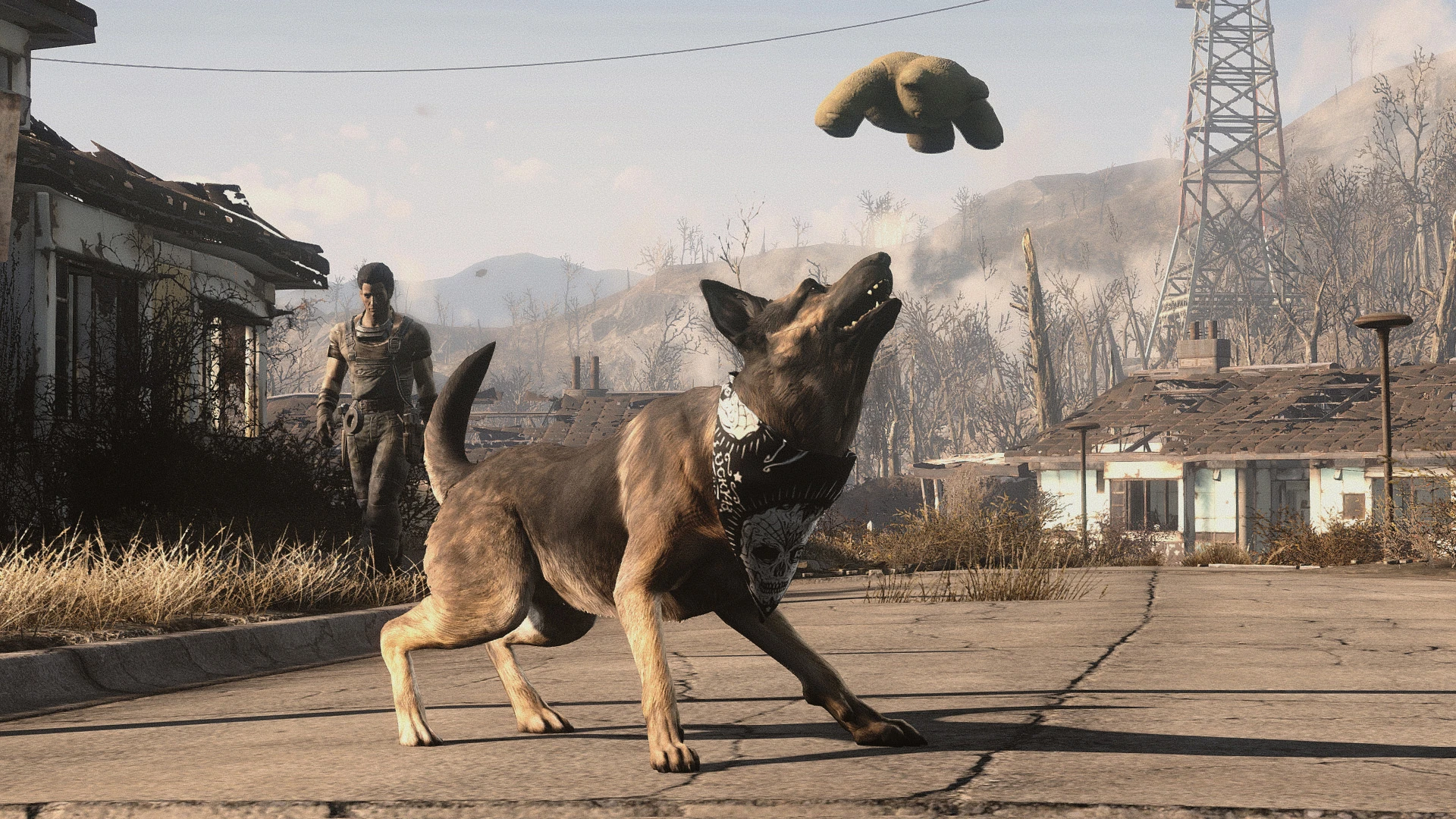 Fallout 4 4k dogmeat фото 28