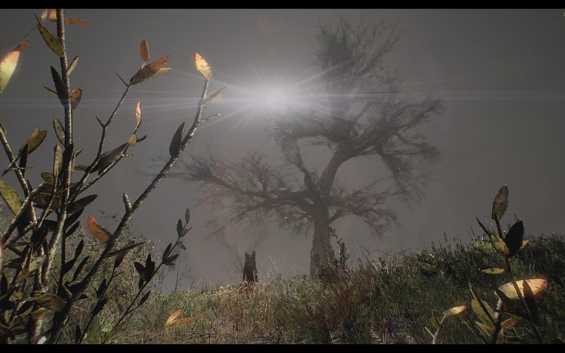 fallout 4 sun mod fallout 4 sun mod