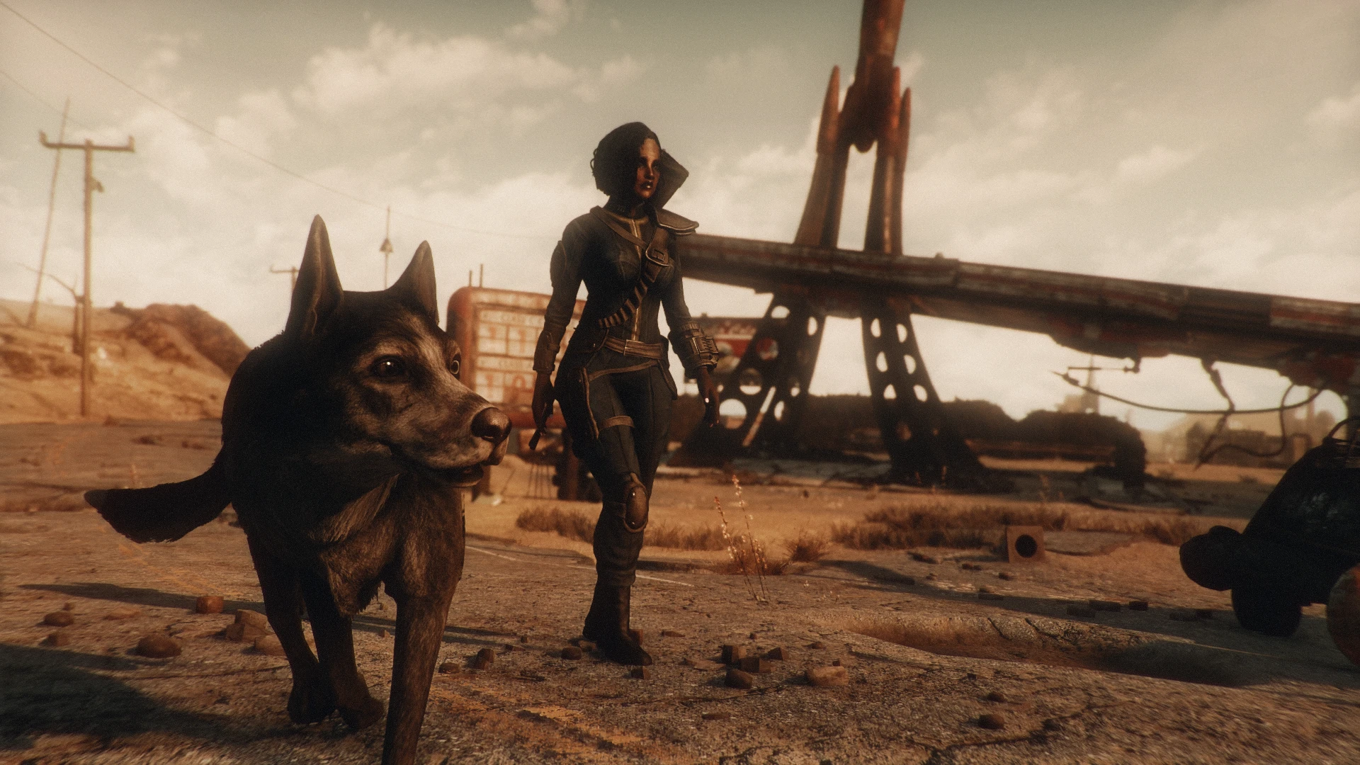 does lone wanderer work with dog