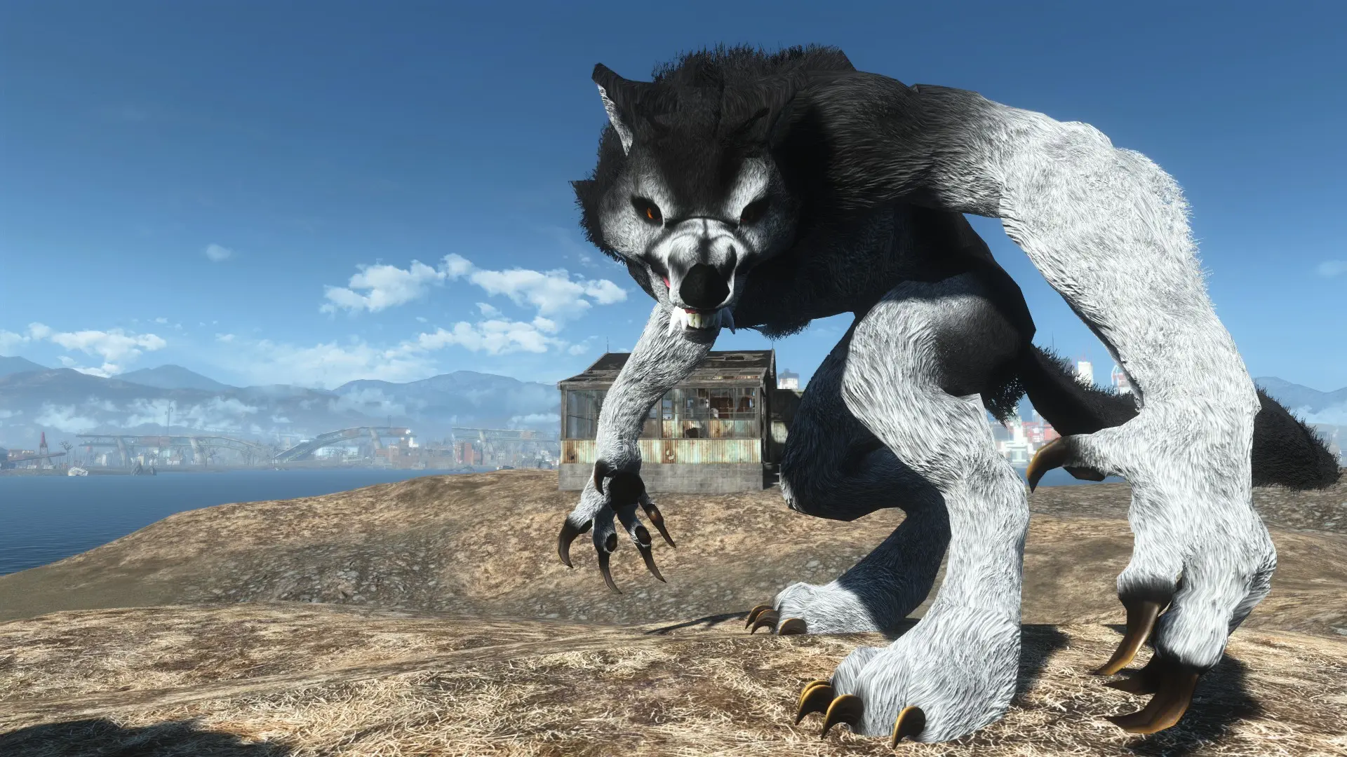 Fallout 4 werewolf mod (88) фото