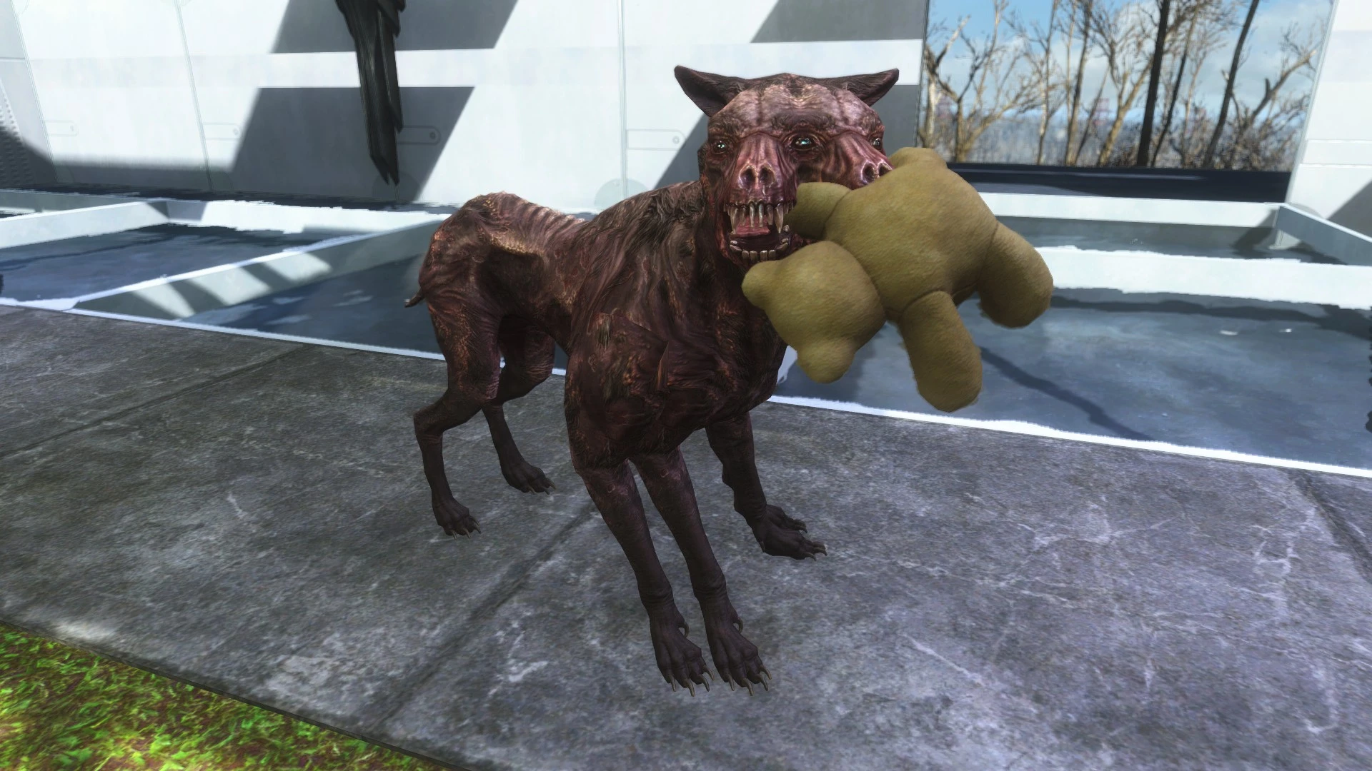 Fallout 4 призвать собаку фото 116