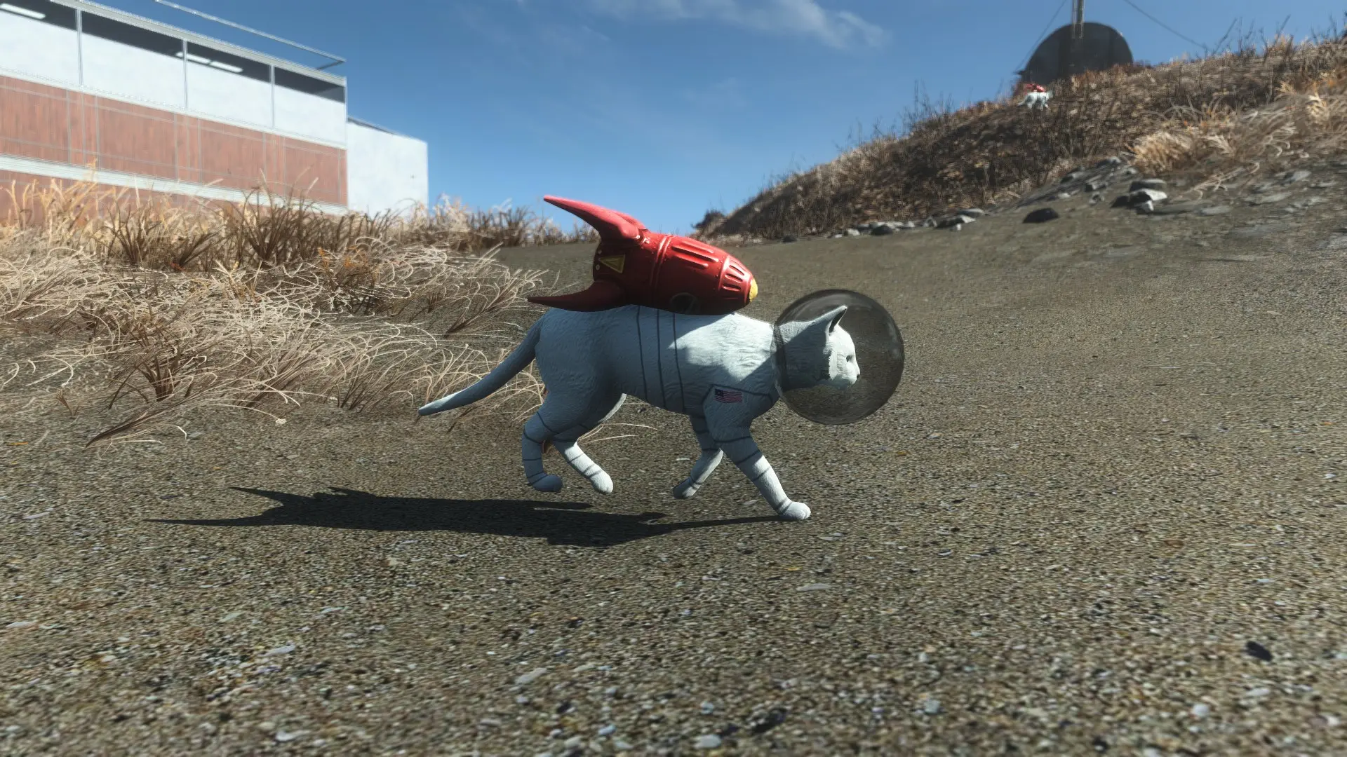 fallout 4 how to get a cat