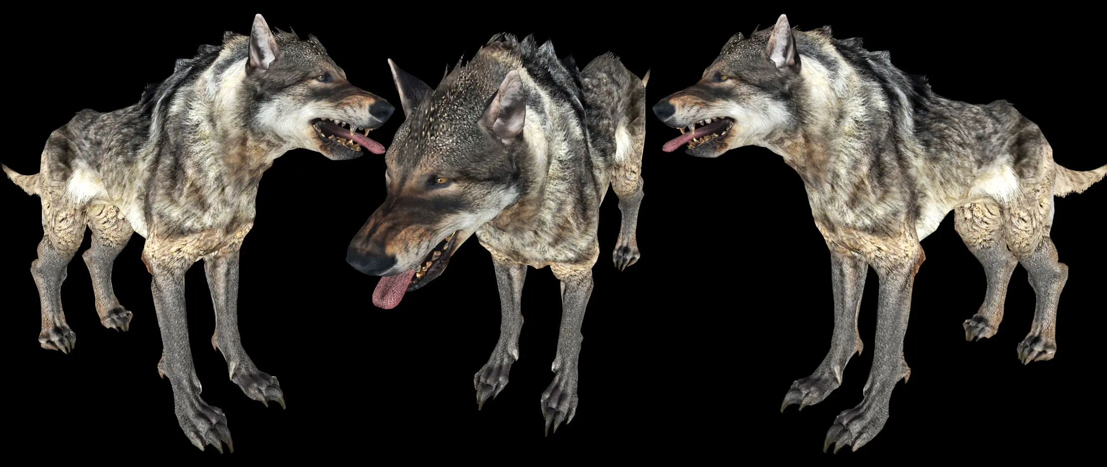 CC Mutated Wolf at Fallout 4 Nexus - Mods and community