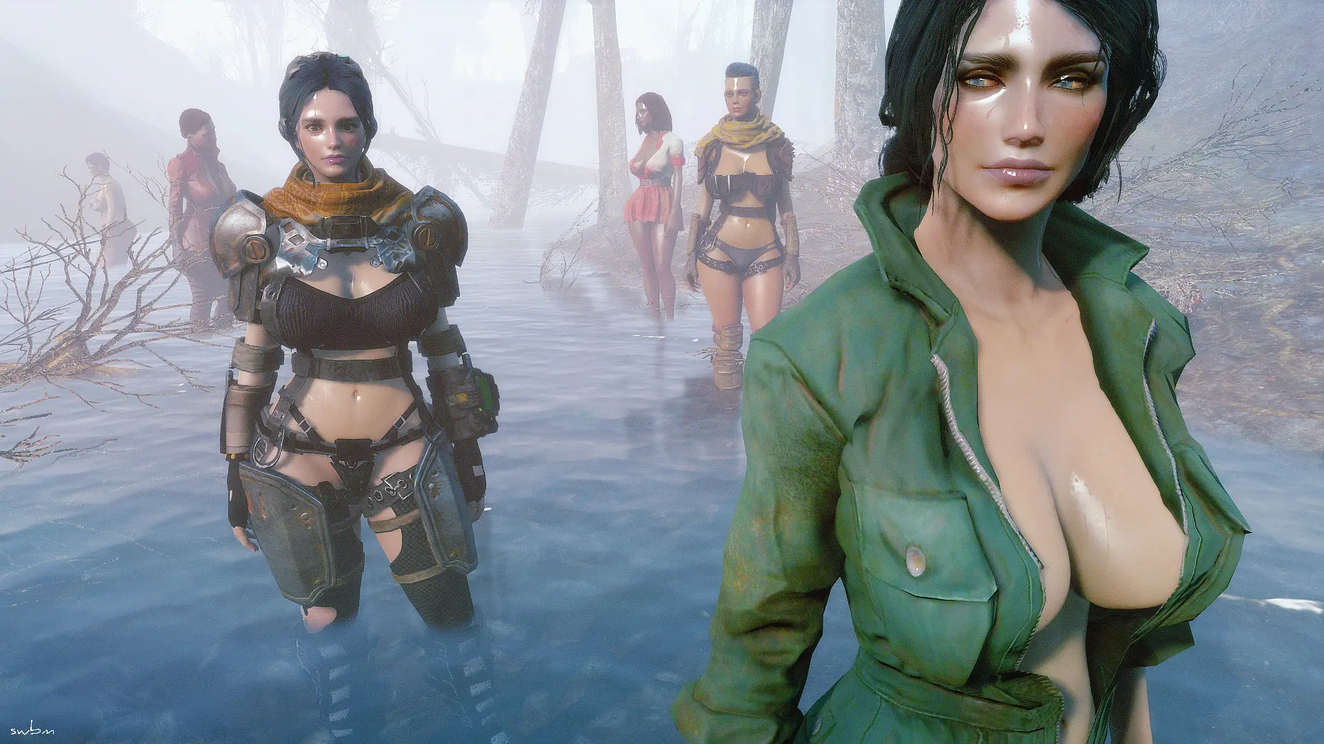 Companion Details At Fallout 4 Nexus Mods And Community - Fo