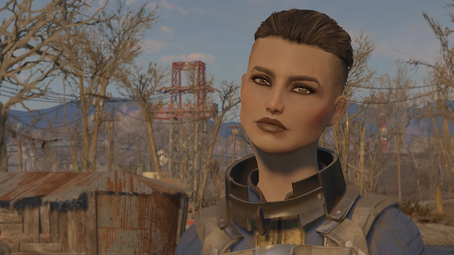 Fallout 4 fix лица фото 70