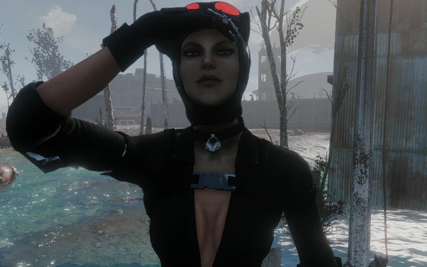 Catwoman VS Hellsing at Fallout 4 Nexus - Mods and community