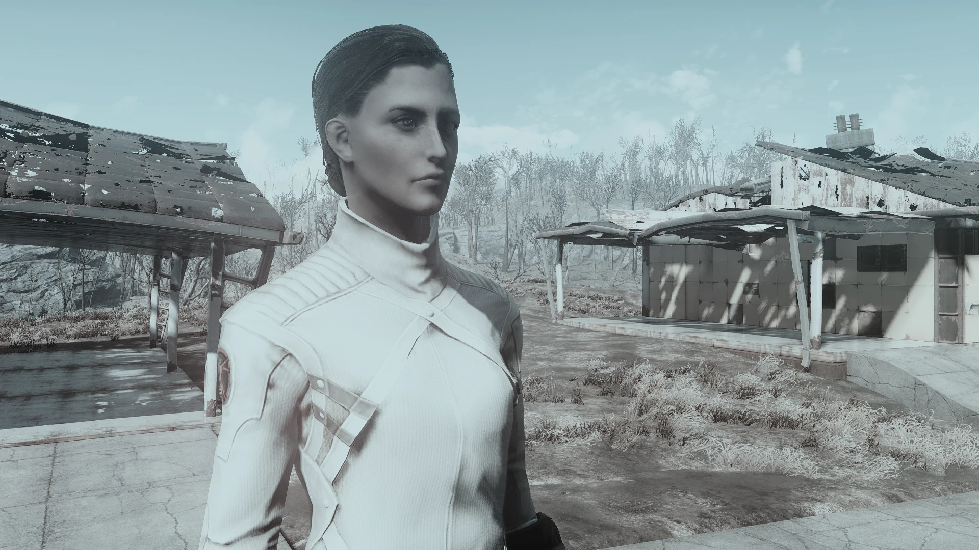 fallout 4 nexus horizon