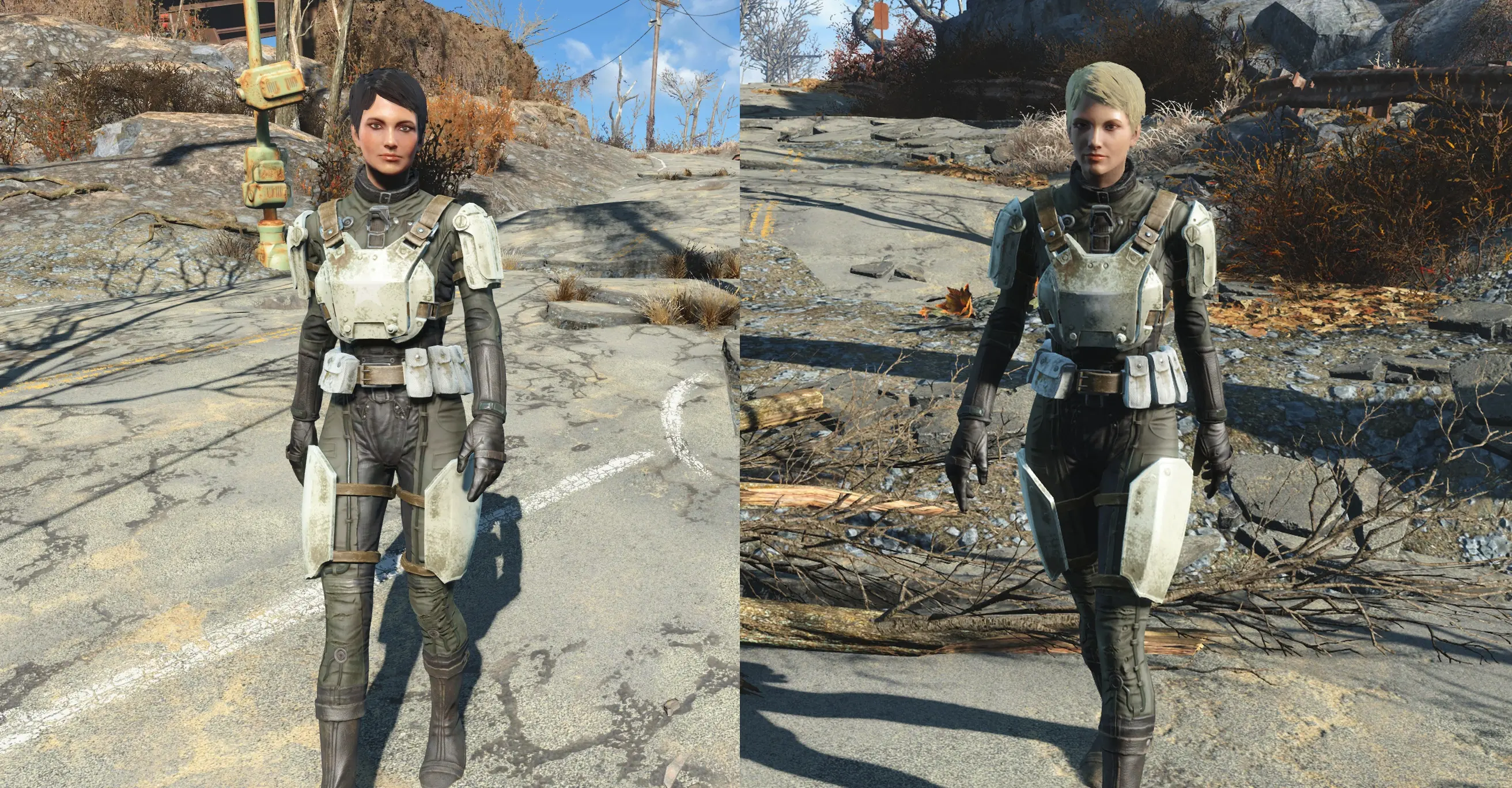 French Vanilla Curie at Fallout 4 Nexus - Mods and community