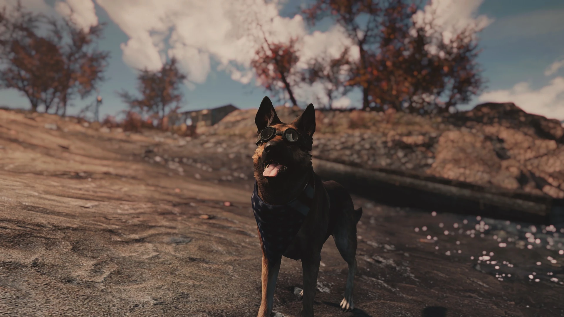 Fallout 4 Dog Porn - Just Earth Porn and Oddities at Fallout 4 Nexus - Mods and ...