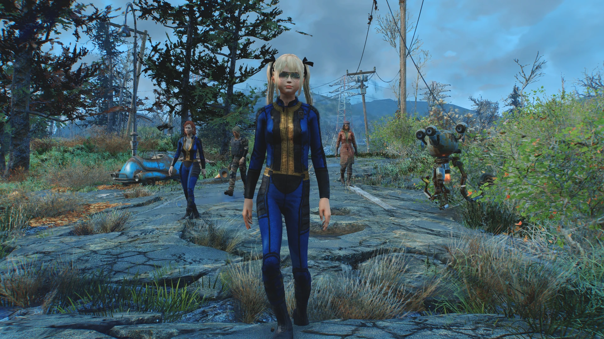 Project valkyrie fallout 4 фото 83