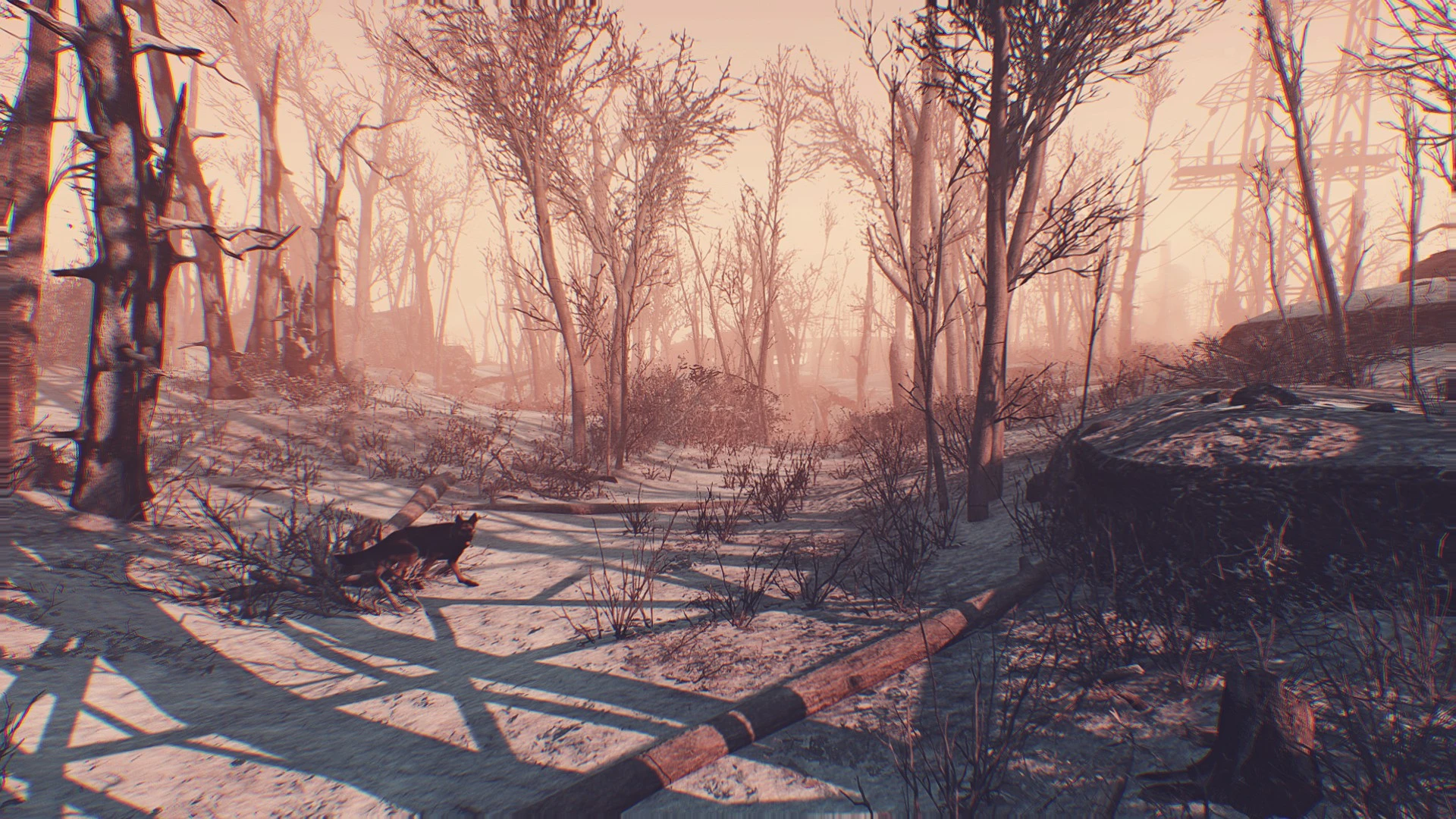 Fallout 4 nuclear winter wonderland фото 6