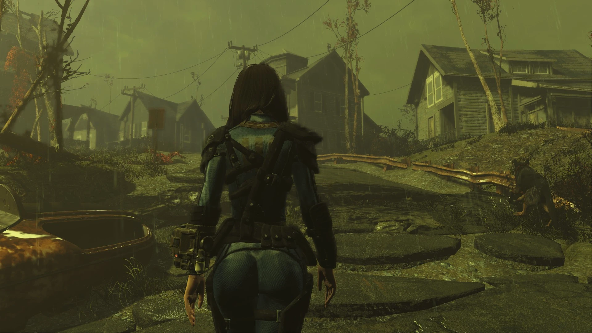 Sole Survivor At Fallout 4 Nexus Mods And Community