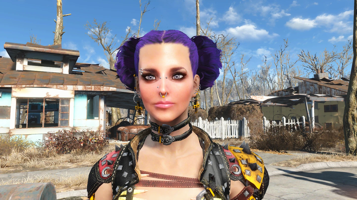 fallout 4 silent protagonist mod