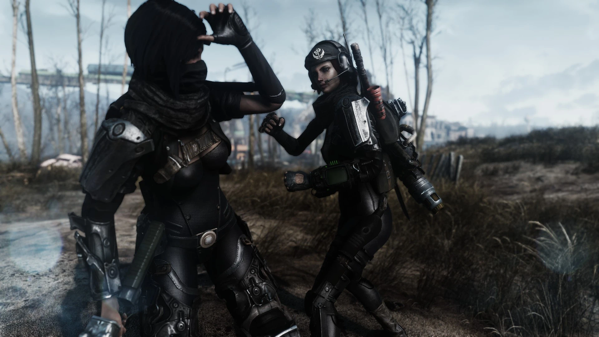 Relationship At Fallout 4 Nexus Mods And Community   28299810 1477071733 