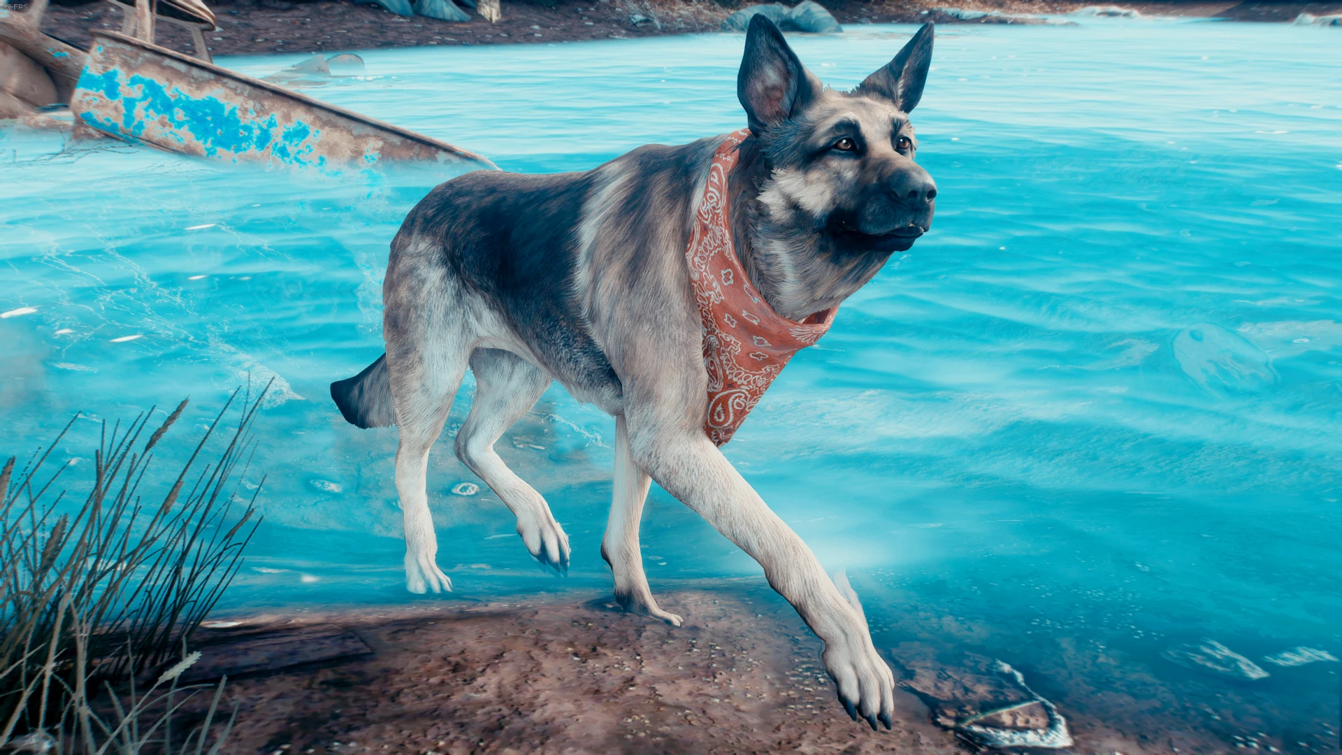fallout 4 dogmeat and another companion mod