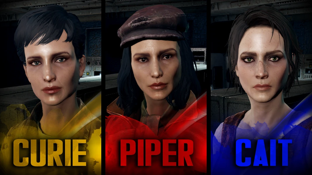 fallout 4 companion face mod