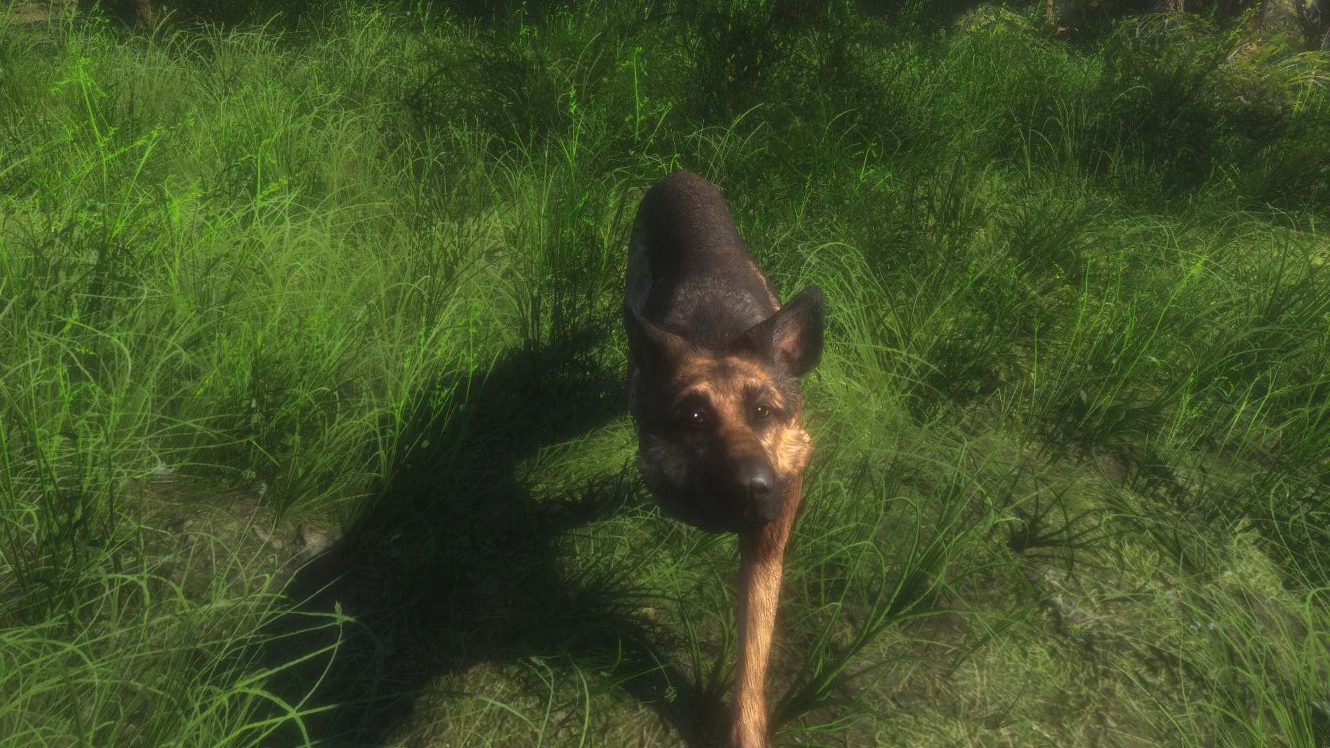 fallout 4 stronger dogmeat mod