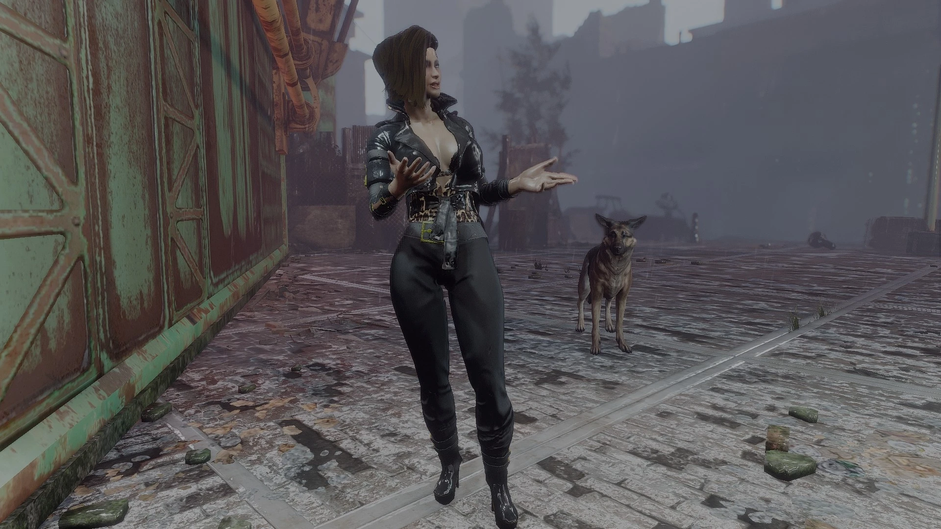 Insignificant object remover на fallout 4 фото 90